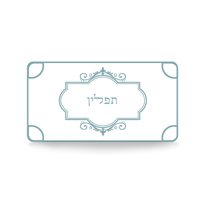 Premium Chabad Bar Mitzvah