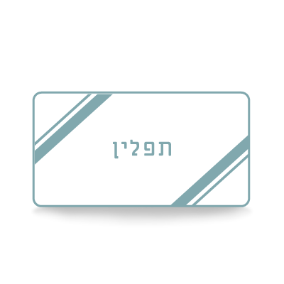 Modern Chabad Bar Mitzvah