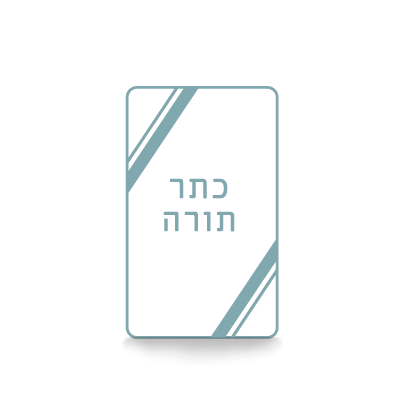Modern Torah Covers
